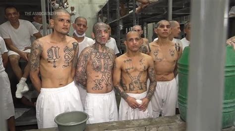 El Salvador is gradually filling its new mega prison with alleged gang members